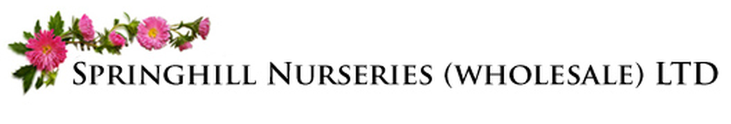Springhill Nurseries (Wholesale) Ltd